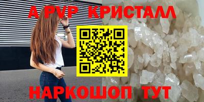 СК Краснодар