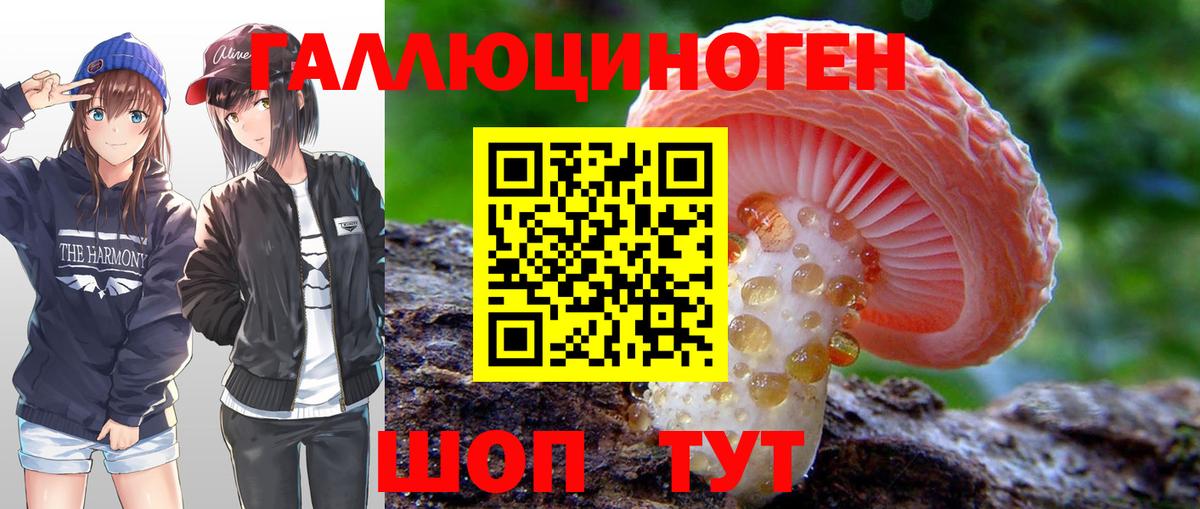 Сургут  Псилоцибиновые грибы GOLDEN TEACHER  Вход с VPN 