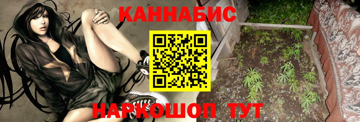Бошки Шишки тримм  Бошки Шишки Bruce Banner  Каннабис Bruce Banner  Сургут  Вход с VPN 